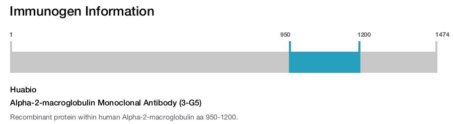 Alpha-2-macroglobulin Monoclonal Antibody (3-G5)
