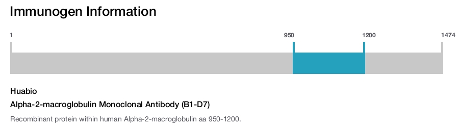 Alpha-2-macroglobulin Monoclonal Antibody (B1-D7)