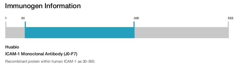 ICAM-1 Monoclonal Antibody (J0-F7)
