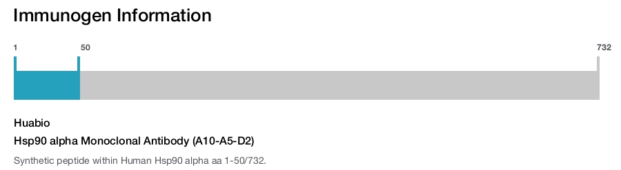 Hsp90 alpha Monoclonal Antibody (A10-A5-D2)