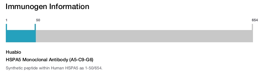 HSPA5 Monoclonal Antibody (A5-C9-G6)