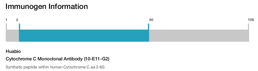 Cytochrome C Monoclonal Antibody (10-E11-G2)