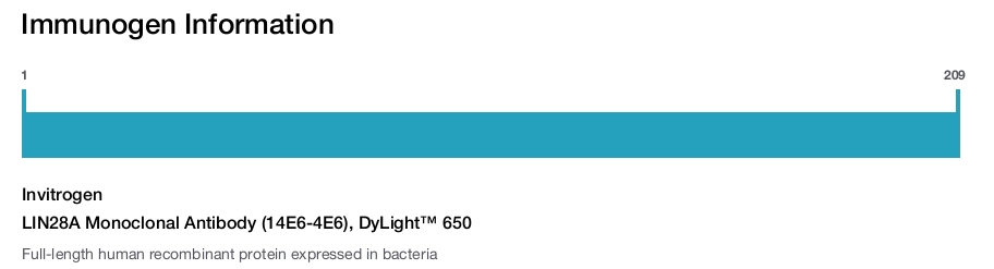 LIN28A Monoclonal Antibody (14E6-4E6), DyLight™ 650
