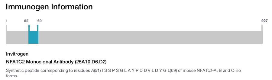 NFATC2 Monoclonal Antibody (25A10.D6.D2)