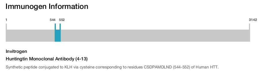 Huntingtin Monoclonal Antibody (4-13)