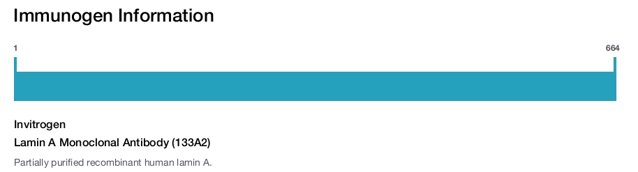 Lamin A Monoclonal Antibody (133A2)