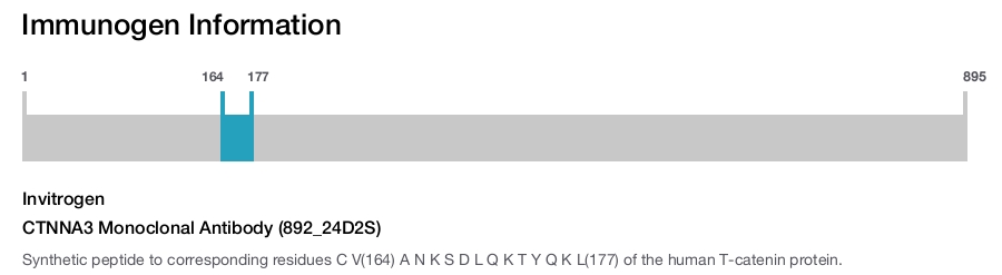 CTNNA3 Monoclonal Antibody (892_24D2S)