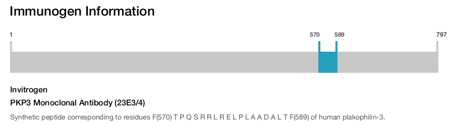 PKP3 Monoclonal Antibody (23E3/4)