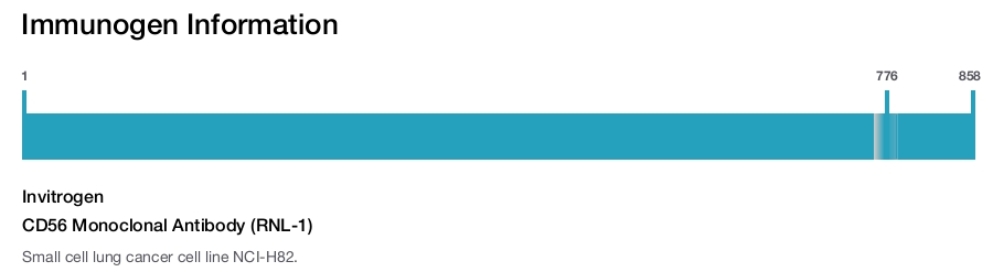 CD56 Monoclonal Antibody (RNL-1)