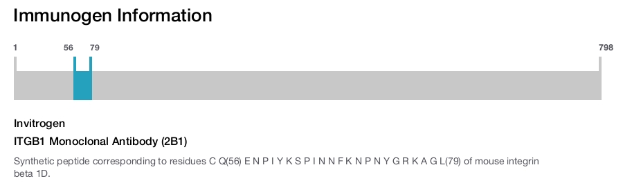 ITGB1 Monoclonal Antibody (2B1)