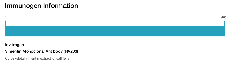 Vimentin Monoclonal Antibody (RV203)