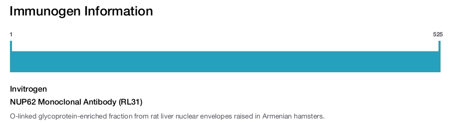 NUP62 Monoclonal Antibody (RL31)