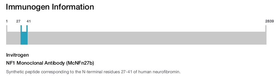 NF1 Monoclonal Antibody (McNFn27b)