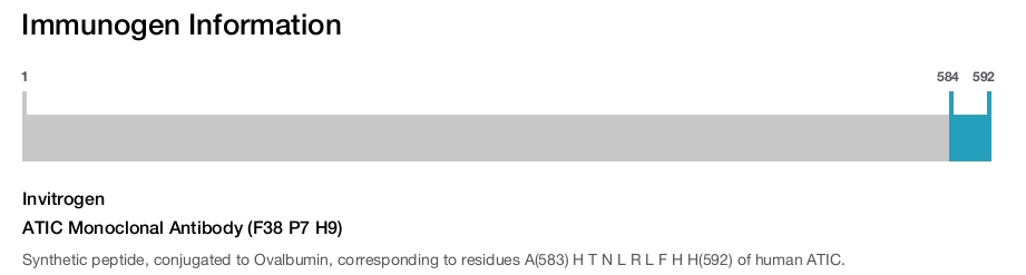 ATIC Monoclonal Antibody (F38 P7 H9)