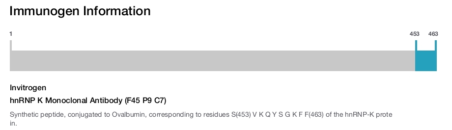 hnRNP K Monoclonal Antibody (F45 P9 C7)