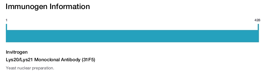 Lys20/Lys21 Monoclonal Antibody (31F5)
