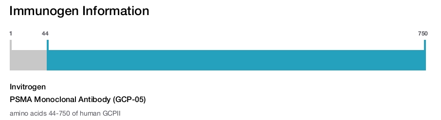 PSMA Monoclonal Antibody (GCP-05)