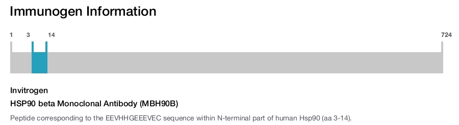 HSP90 beta Monoclonal Antibody (MBH90B)