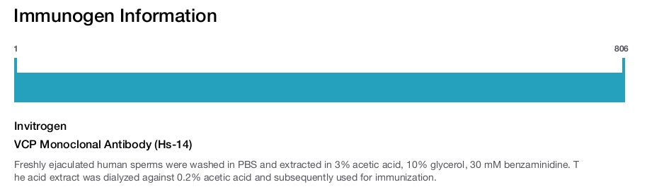 VCP Monoclonal Antibody (Hs-14)