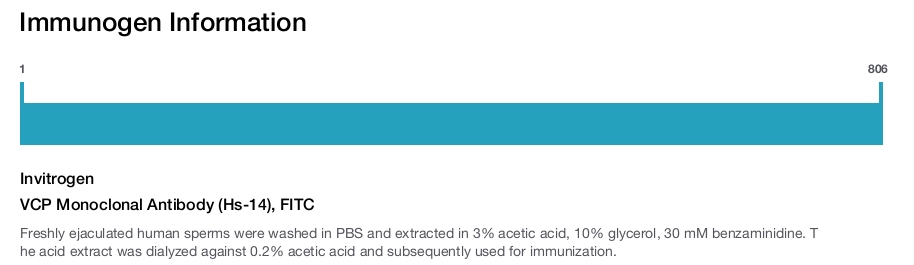 VCP Monoclonal Antibody (Hs-14), FITC