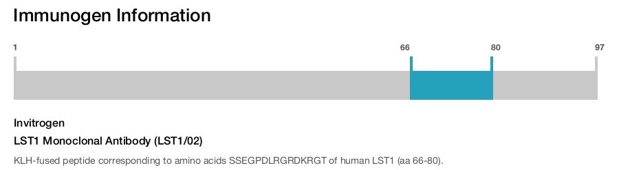 LST1 Monoclonal Antibody (LST1/02)