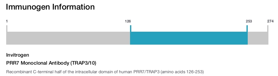 PRR7 Monoclonal Antibody (TRAP3/10)
