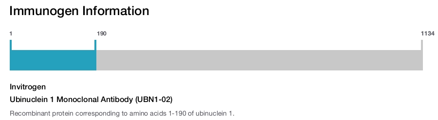Ubinuclein 1 Monoclonal Antibody (UBN1-02)
