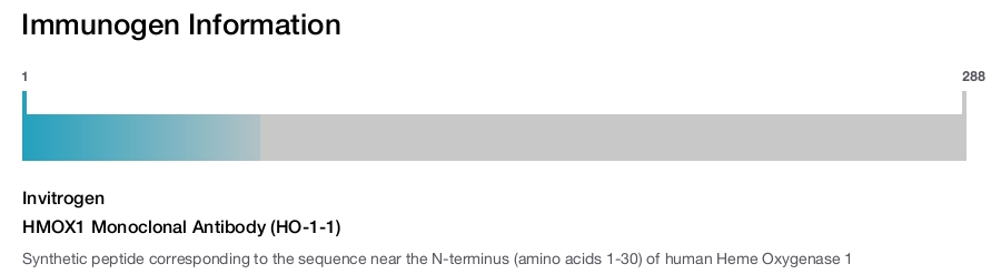 HMOX1 Monoclonal Antibody (HO-1-1)