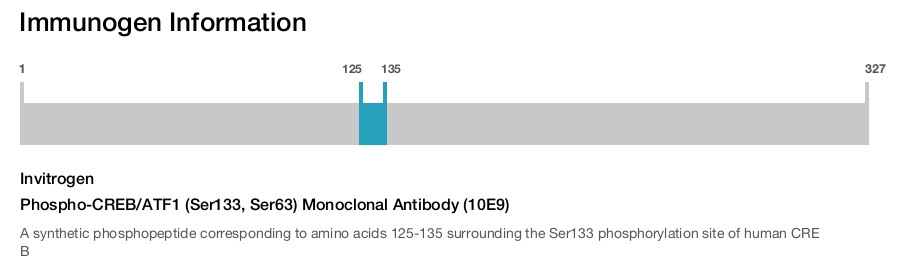 Phospho-CREB/ATF1 (Ser133, Ser63) Monoclonal Antibody (10E9)
