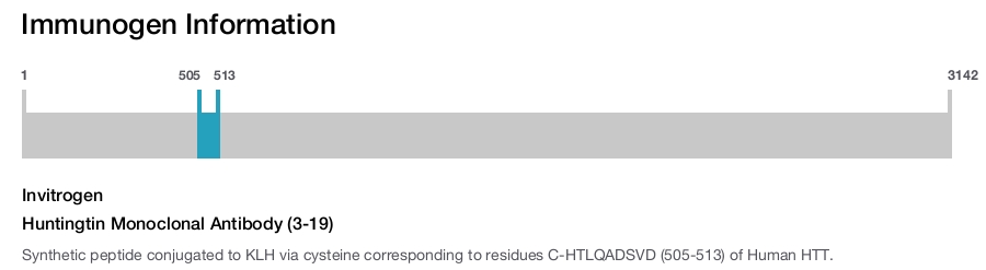 Huntingtin Monoclonal Antibody (3-19)