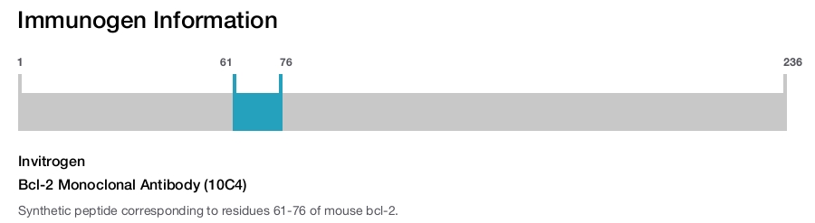 Bcl-2 Monoclonal Antibody (10C4)