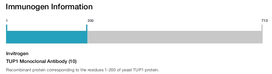TUP1 Monoclonal Antibody (10)