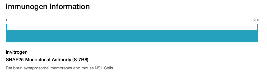 SNAP25 Monoclonal Antibody (S-7B8)
