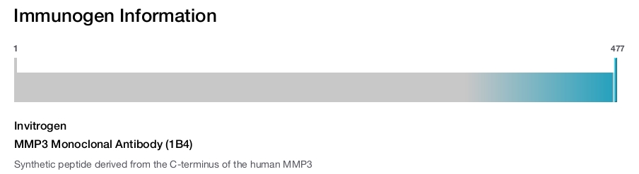 MMP3 Monoclonal Antibody (1B4)