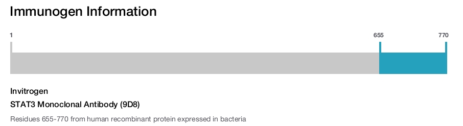 STAT3 Monoclonal Antibody (9D8)