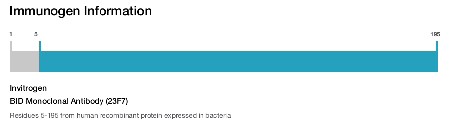BID Monoclonal Antibody (23F7)