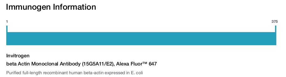 beta Actin Monoclonal Antibody (15G5A11/E2), Alexa Fluor™ 647
