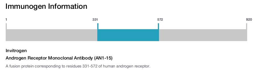 Androgen Receptor Monoclonal Antibody (AN1-15)