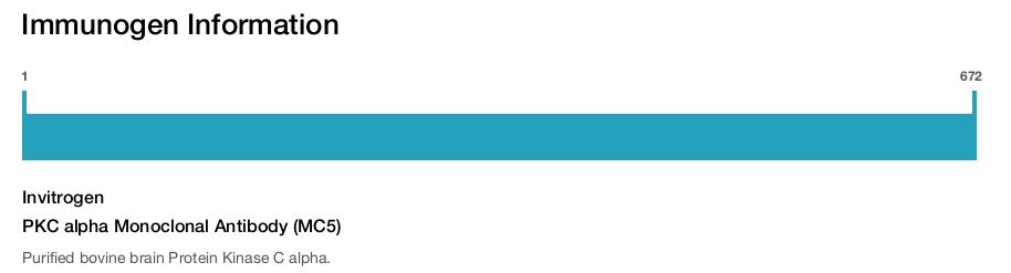 PKC alpha Monoclonal Antibody (MC5)