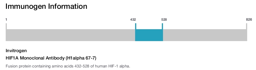 HIF1A Monoclonal Antibody (H1alpha 67-7)