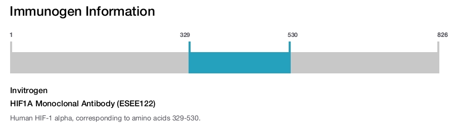 HIF1A Monoclonal Antibody (ESEE122)