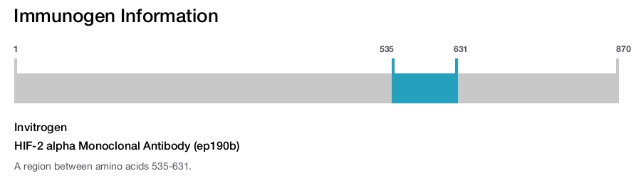 HIF-2 alpha Monoclonal Antibody (ep190b)