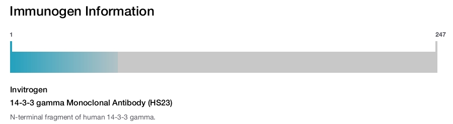 14-3-3 gamma Monoclonal Antibody (HS23)