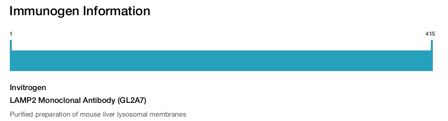 LAMP2 Monoclonal Antibody (GL2A7)