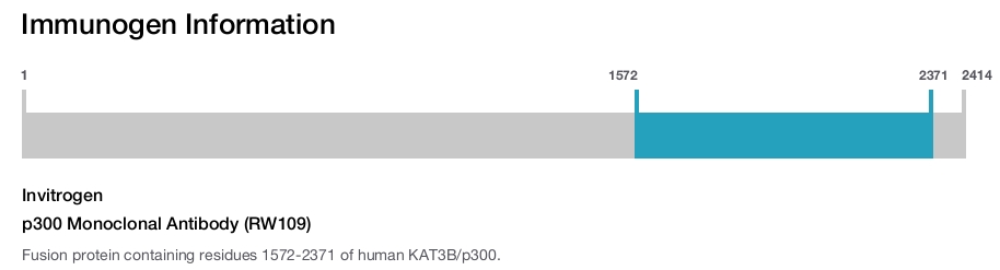 p300 Monoclonal Antibody (RW109)