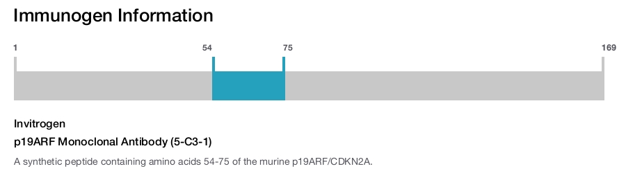 p19ARF Monoclonal Antibody (5-C3-1)
