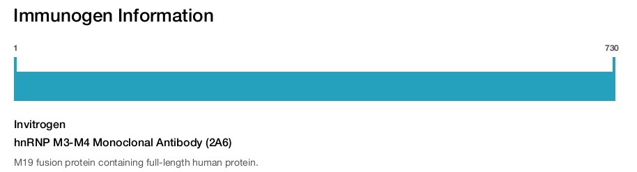 hnRNP M3-M4 Monoclonal Antibody (2A6)
