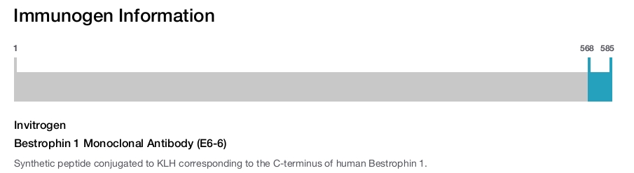 Bestrophin 1 Monoclonal Antibody (E6-6)