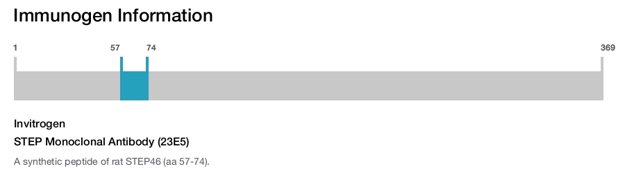 STEP Monoclonal Antibody (23E5)