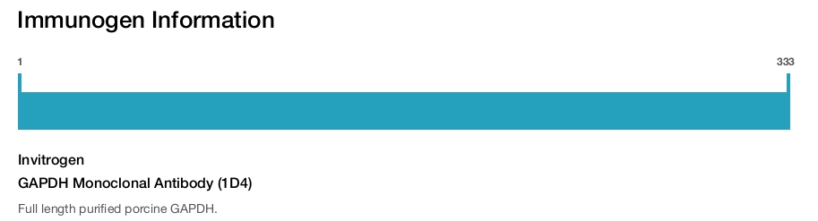 GAPDH Monoclonal Antibody (1D4)